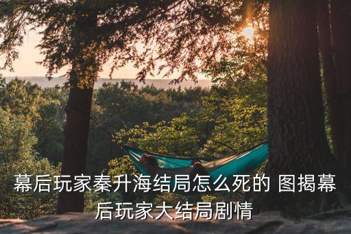 幕后玩家秦升海結局怎么死的 圖揭幕后玩家大結局劇情