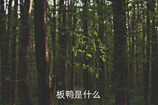 板鴨，板鴨是什么