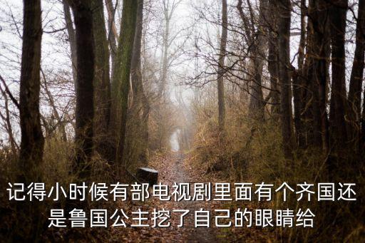 魯國公主，記得小時候有部電視劇里面有個齊國還是魯國公主挖了自己的眼睛給