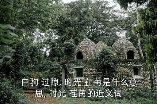 時光荏苒白駒過隙,時間一點一點流逝白駒過隙