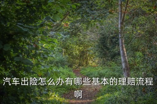 汽車出險怎么辦有哪些基本的理賠流程啊