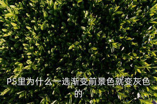 PS里為什么一選漸變前景色就變灰色的