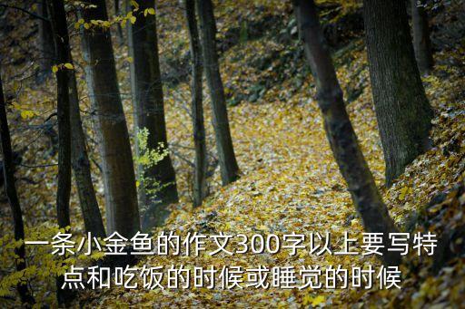 一條小金魚的作文300字以上要寫特點和吃飯的時候或睡覺的時候