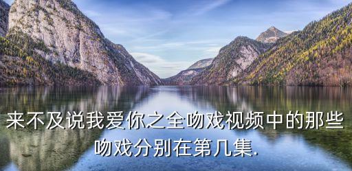 來不及說我愛你之全吻戲視頻中的那些吻戲分別在第幾集.
