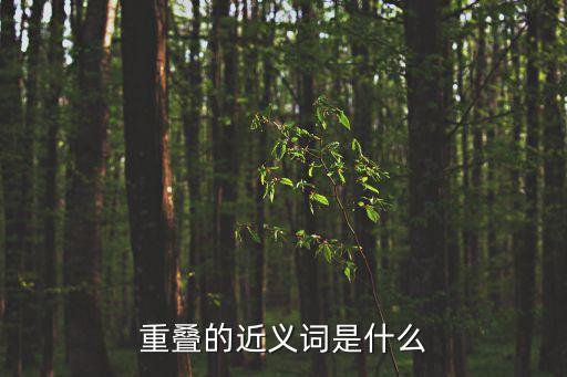 重疊的近義詞是什么
