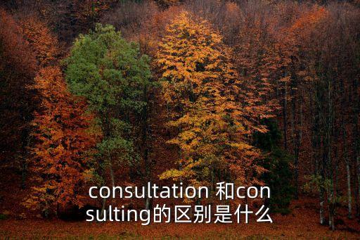 consultation 和consulting的區(qū)別是什么
