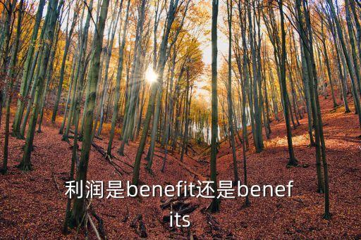 利潤(rùn)是benefit還是benefits