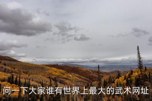 武術之家，問一下大家誰有世界上最大的武術網址