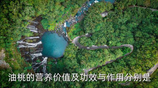油桃的功效與作用