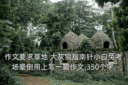 作文要求草地 大灰狼指南針小白兔考場暈倒用上寫一篇作文,350個字...