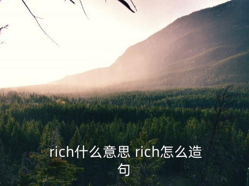 rich是什么意思,比較富裕與貧困之間的對比