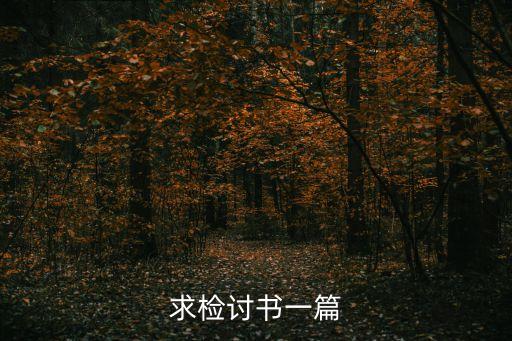 萬能檢討書，萬能檢討書日志