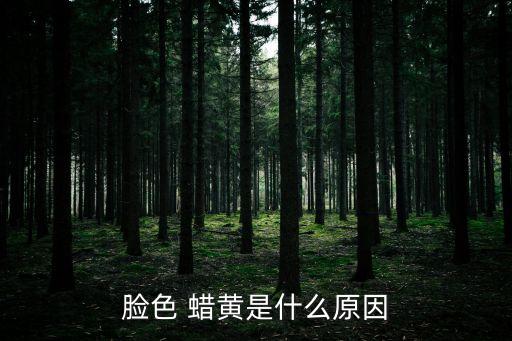 臉色 蠟黃是什么原因