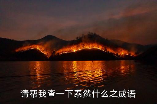 請幫我查一下泰然什么之成語