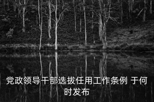 黨政領(lǐng)導(dǎo)干部選拔任用工作條例 于何時發(fā)布