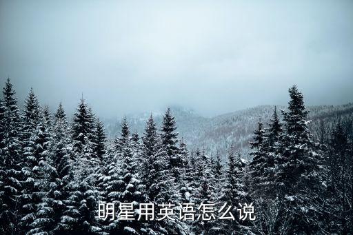 明星用英語怎么說