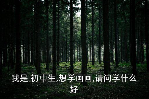 初中繪畫,水彩畫不少見初中生學習繪畫