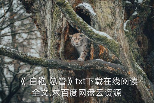 白袍總管,白袍總管下載百度網(wǎng)盤最新全集