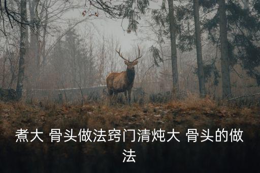 煮大 骨頭做法竅門清燉大 骨頭的做法