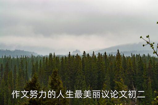 奮斗的人生最美麗，人生最美的享受是奮斗之后的什么