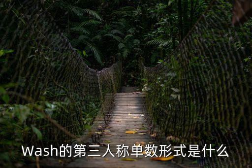 Wash的第三人稱單數(shù)形式是什么
