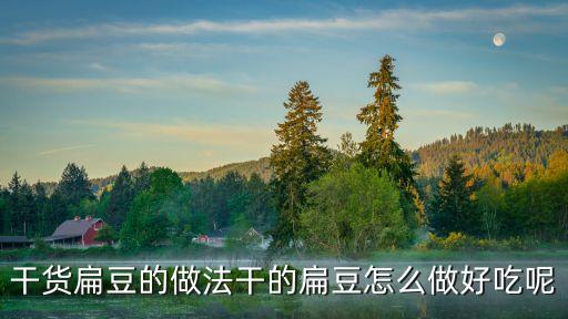 干貨扁豆的做法干的扁豆怎么做好吃呢