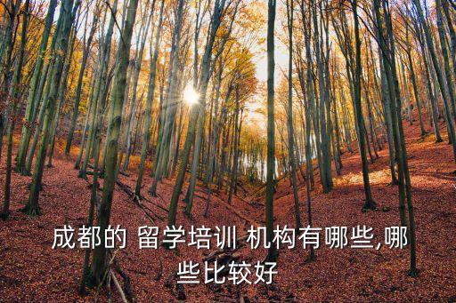  成都的 留學培訓 機構有哪些,哪些比較好