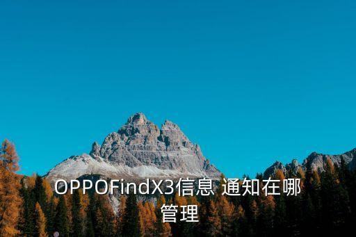 OPPOFindX3信息 通知在哪 管理