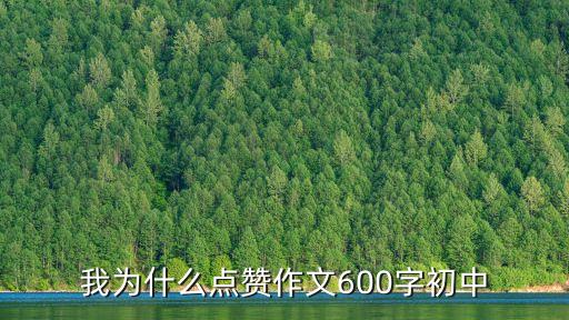 我為什么點贊作文600字初中