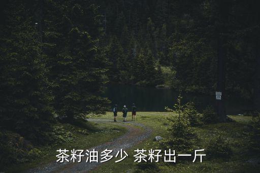  茶籽油多少 茶籽出一斤