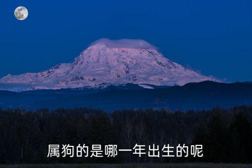 屬狗的是哪一年出生的呢