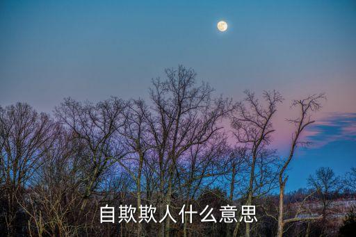 自欺欺人什么意思
