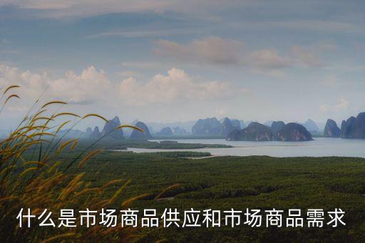 什么是市場商品供應和市場商品需求