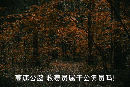 收費員,非國有收費車站工作人員不屬于國家機關工作