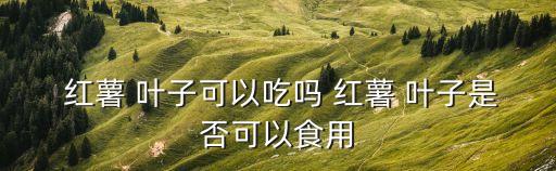 紅薯 葉子可以吃嗎 紅薯 葉子是否可以食用
