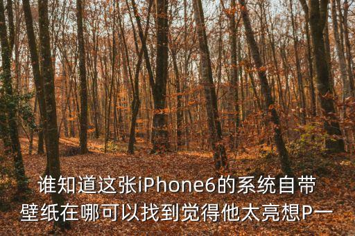 誰知道這張iPhone6的系統自帶壁紙在哪可以找到覺得他太亮想P一