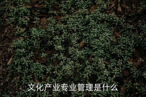 文化產業管理專業，文化產業管理專業就業前景怎么樣