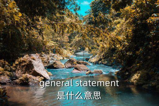 general statement是什么意思