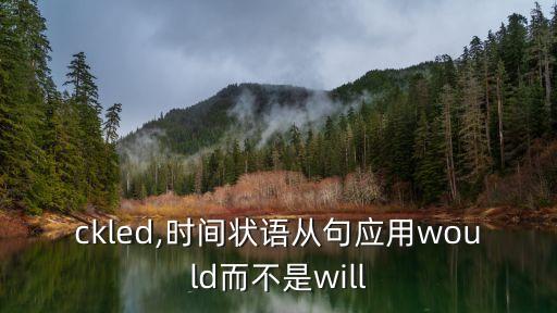 tackled,時(shí)間狀語從句應(yīng)用would而不是will