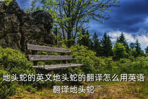 dodgy，地頭蛇的英文地頭蛇的翻譯怎么用英語(yǔ)翻譯地頭蛇