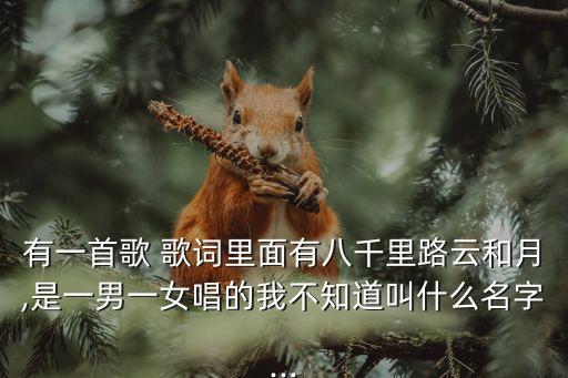 有一首歌 歌詞里面有八千里路云和月,是一男一女唱的我不知道叫什么名字...