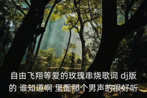 等愛的玫瑰歌詞，自由飛翔等愛的玫瑰串燒歌詞 dj版的 誰知道啊 里面那個男聲的很好聽