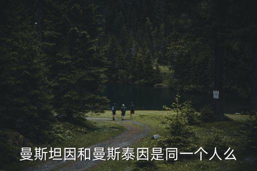 曼斯坦因和曼斯泰因是同一個人么