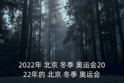 2022年 北京 冬季 奧運會2022年的 北京 冬季 奧運會