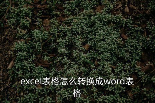 excel表格怎么轉(zhuǎn)換成word表格