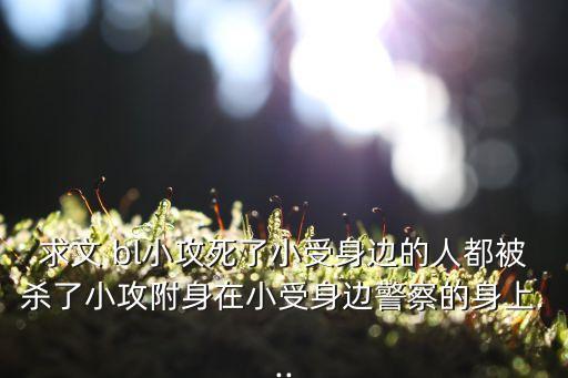 求文 bl小攻死了小受身邊的人都被殺了小攻附身在小受身邊警察的身上...