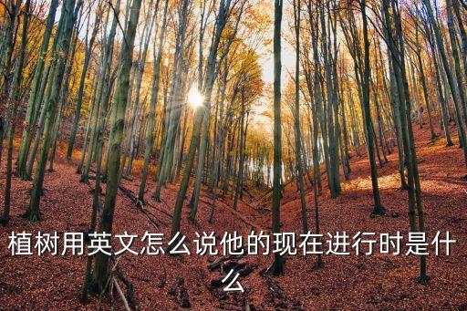 植樹用英文怎么說他的現(xiàn)在進(jìn)行時(shí)是什么