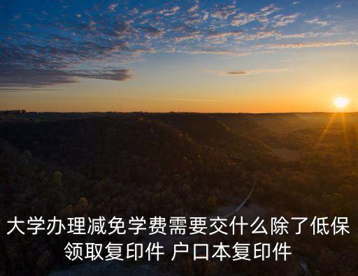 大學(xué)辦理減免學(xué)費(fèi)需要交什么除了低保領(lǐng)取復(fù)印件 戶口本復(fù)印件