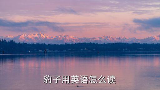 豹英語，豹子用英語怎么讀
