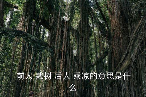  前人 栽樹 后人 乘涼的意思是什么